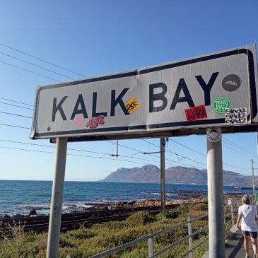 Review: Olympia Cafe’s Bakery Shop